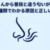 乾太くんから普段と違う匂いがしたときに匂いの種類別で原因と対処法を確認するイメージ
